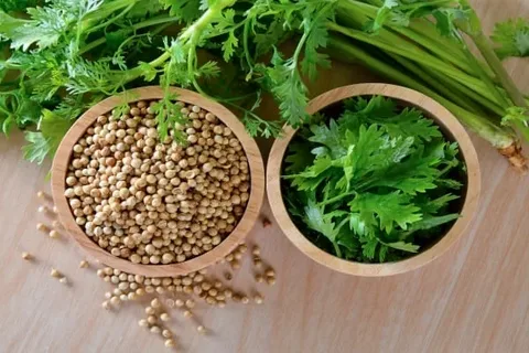 تصویر 5 از خرید و قیمت تخم گشنیز خشک + فروش عمده